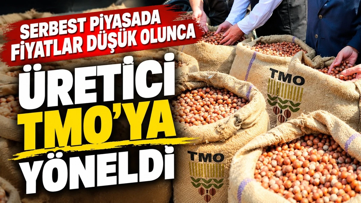 Ordu&rsquo;da 80 Bin Ton Fındık İ&ccedil;in 40 Bin Randevu