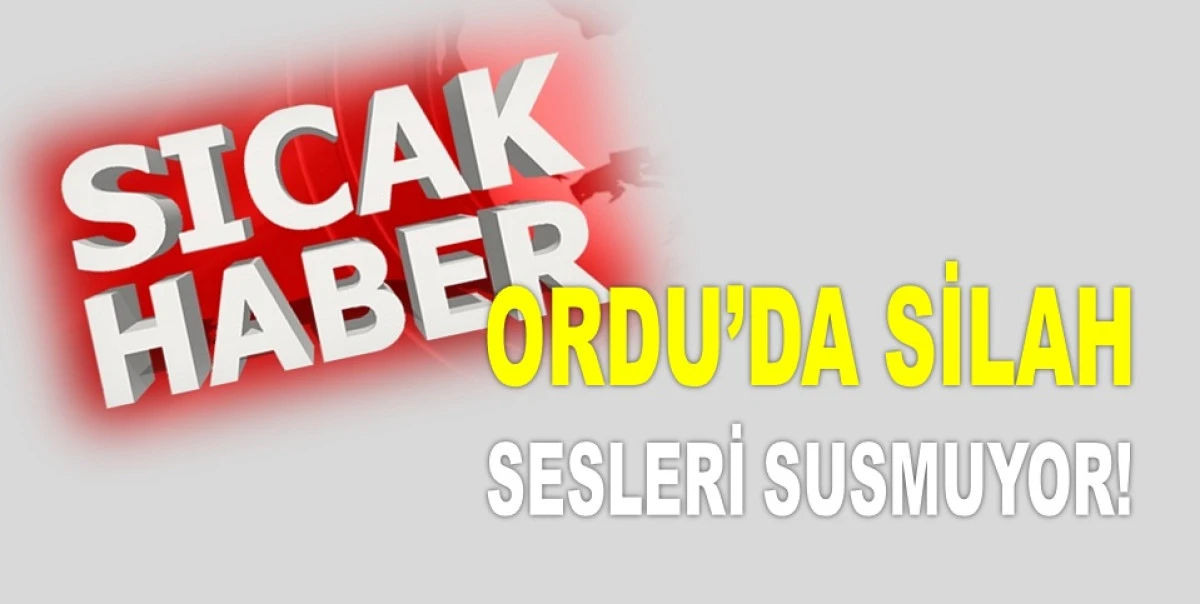 ORDU'DA BU SEFERDE BİR İŞ YERİ KURŞUNLANDI