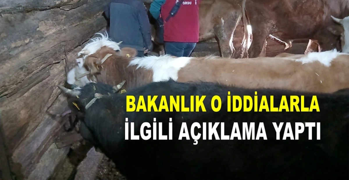 ORDU'DA DA GÖRÜLÜNCE YAYLA KARANTİNAYA ALINDI