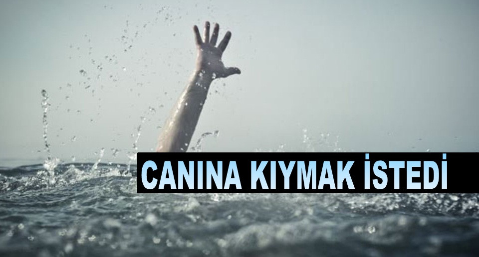 ORDU'DA DENİZE ATLAYAN KADIN SON ANDA KURTARILDI