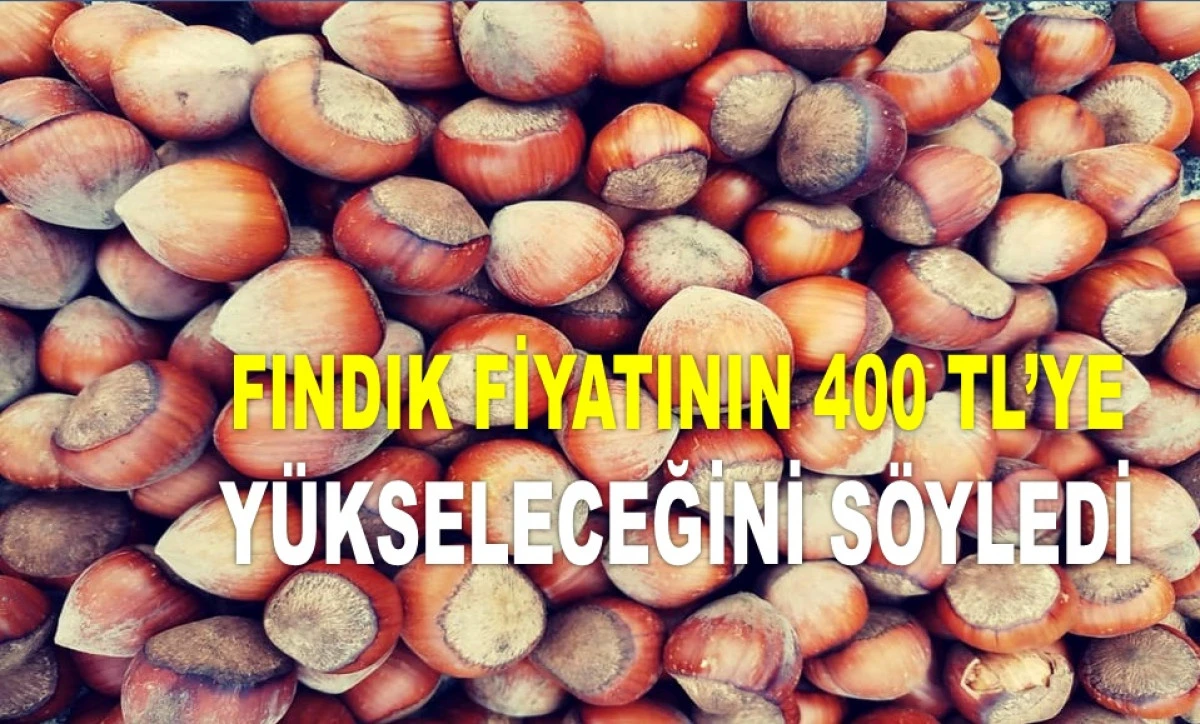 ORDU'DA DÜŞEN FINDIK FİYATINDA TARTIŞMA BİTMİYOR