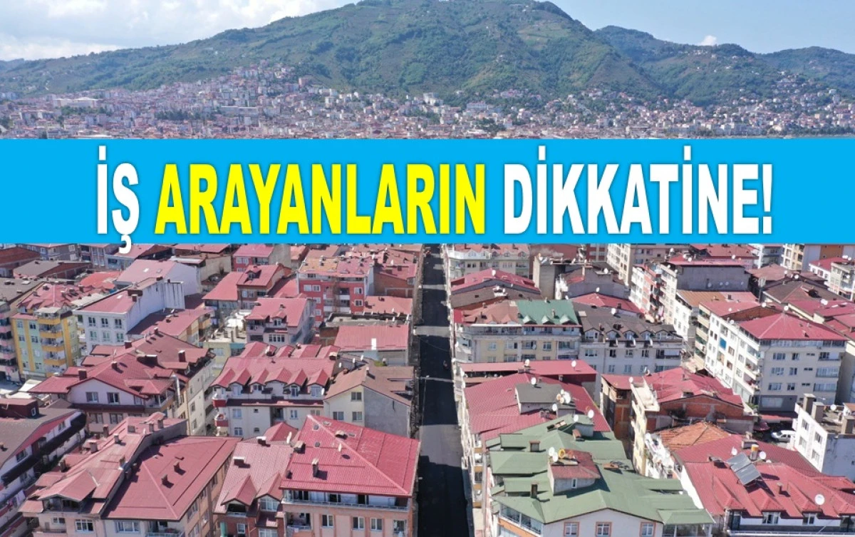 ORDU'DA EN ÇOK BU 5 MESLEKTEN ELEMAN ARANIYOR