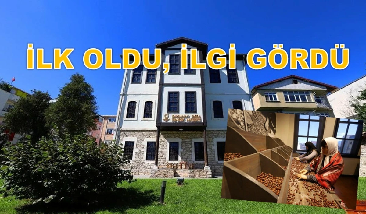Ordu'da Fındığın Hikayesinin Ziyaret&ccedil;isi 51 Bini Aştı