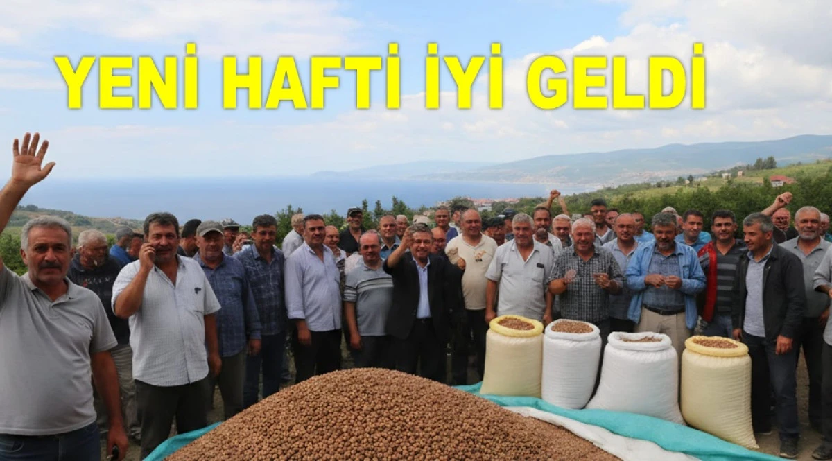 ORDU'DA FINDIK FİYATINDA YÜKSELİŞ BAŞLIYIOR MU?