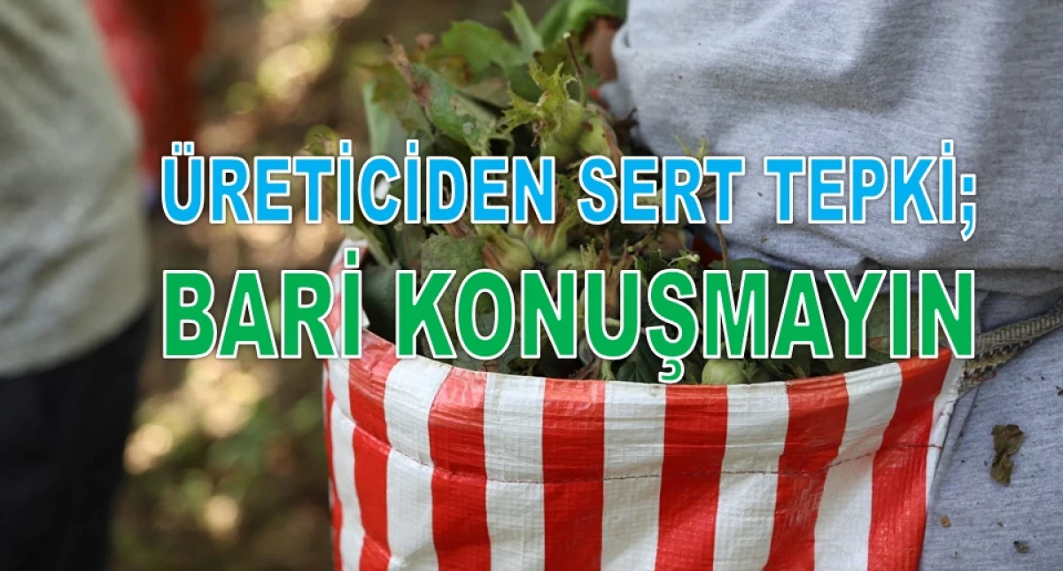 Ordu'da Fındık Fiyatındaki D&uuml;ş&uuml;ş Devam Ediyor