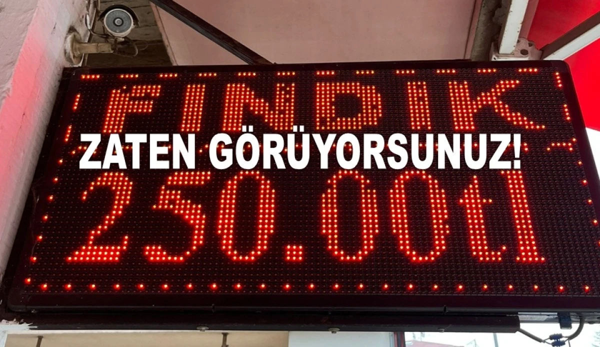 ORDU'DA FINDIK FİYATINI 250 LİRAYA DÜŞÜRDÜLER