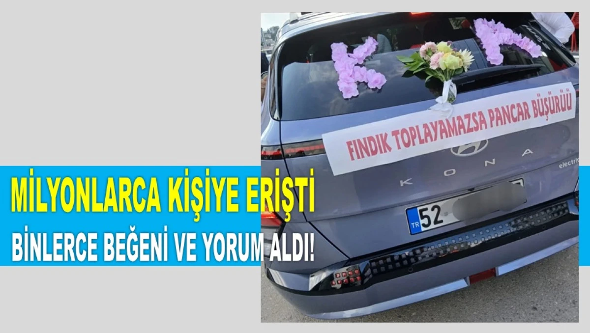 ORDU'DA GELİN ARABASINDAKİ YAZI SOSYAL MEDYAYI SALLADI