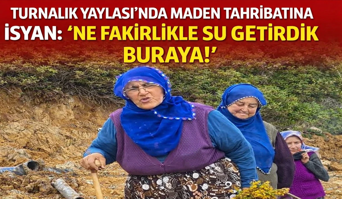 Ordu'da Hayriye ve Ş&uuml;kriye Teyzelerin Maden İsyanı!