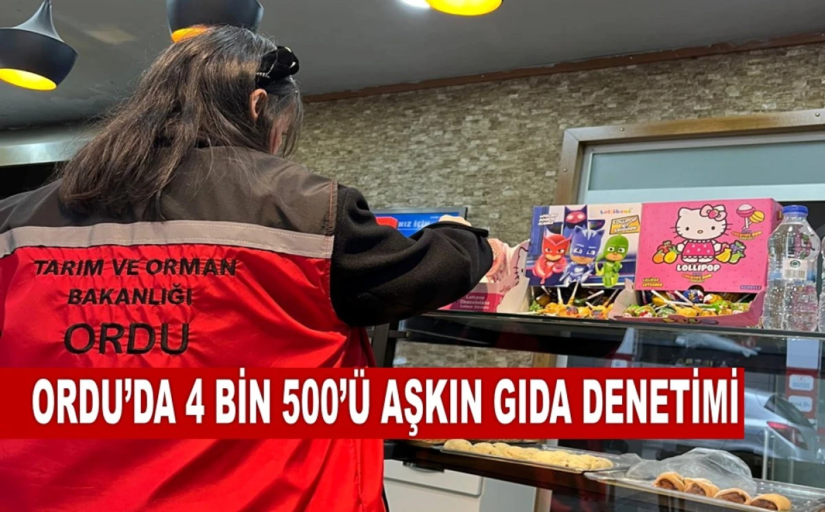 Ordu'da İlk D&ouml;rt Ayda 95 İşletmeye Ceza Kesildi