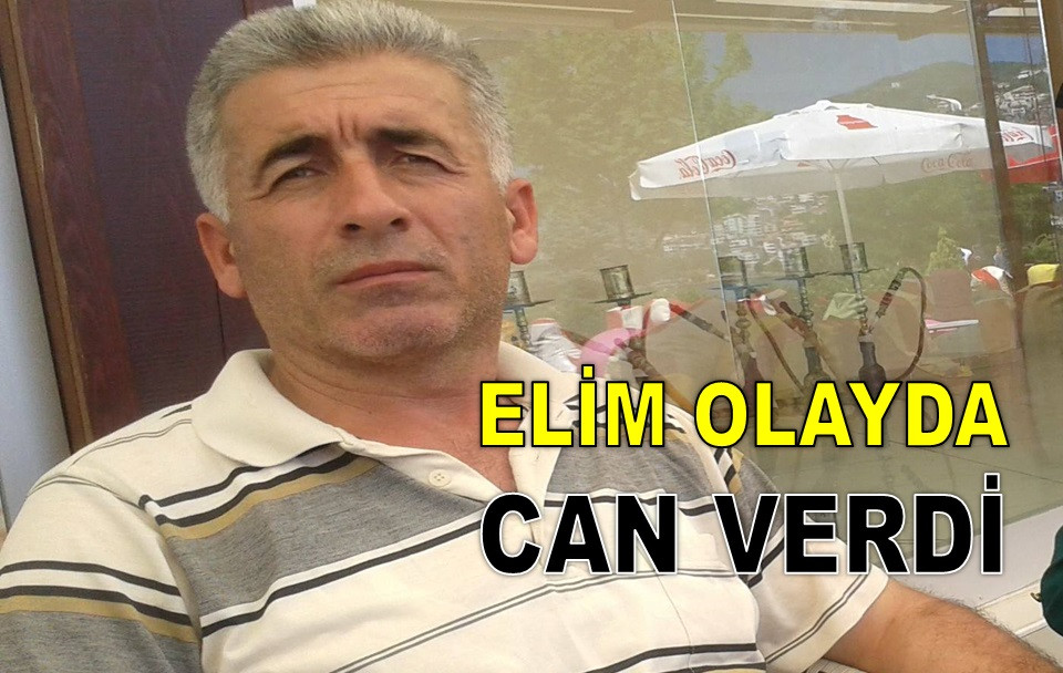 ORDU'DA İŞ İNSANI KESTİĞİ AĞACIN ALTINDA CAN VERDİ
