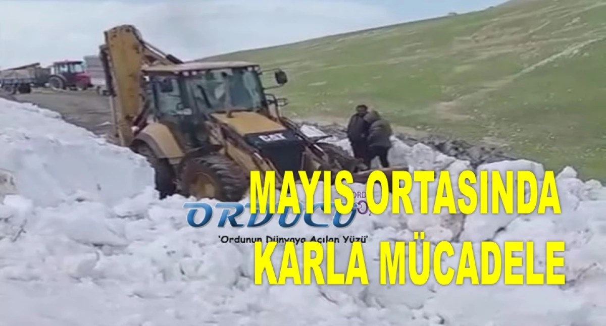 ORDU'DA KARDAN KAPANAN YOL ULAŞIMA AÇILDI