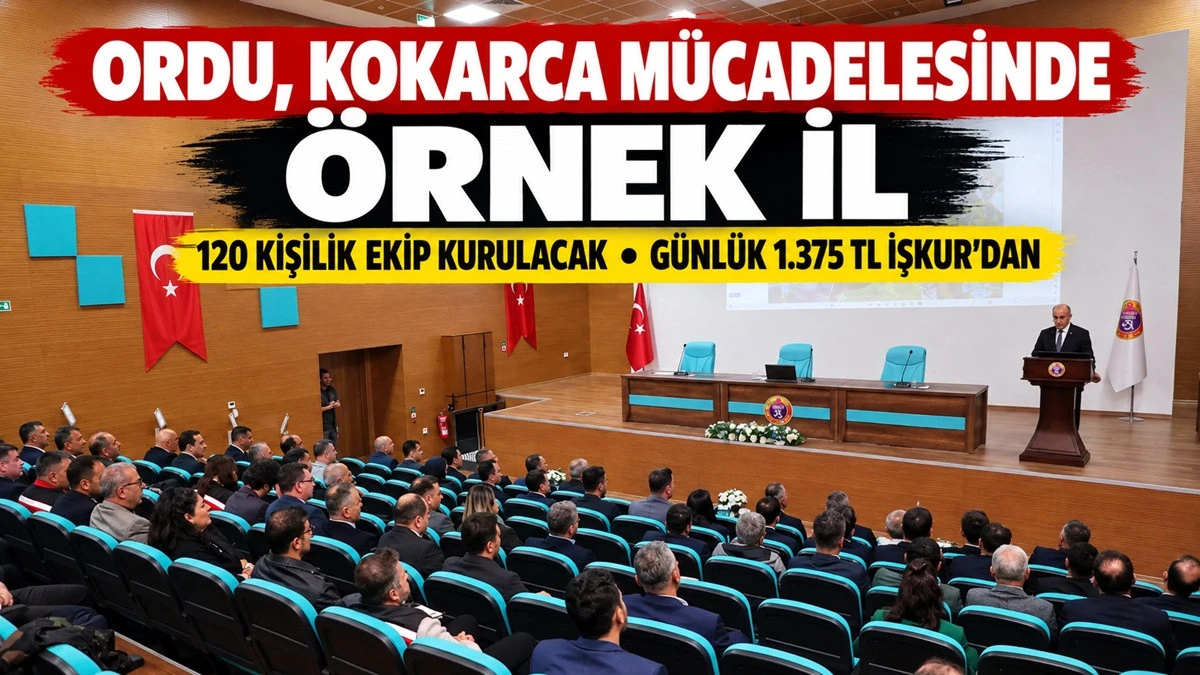 Ordu&rsquo;da Kokarca ile Topyek&ucirc;n M&uuml;cadele: 1200 Kişi Sahada