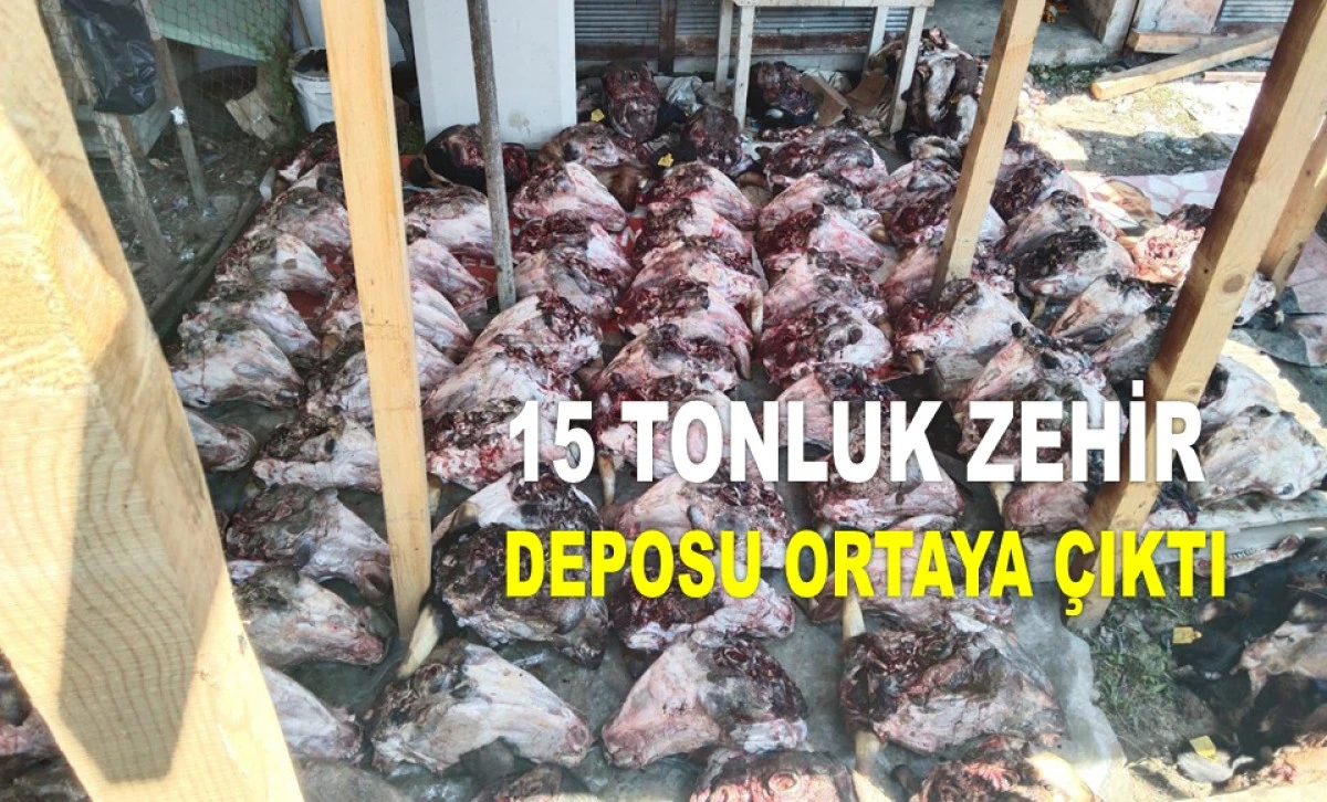 ORDU'DA KOKMUŞ ET SKANDALI!