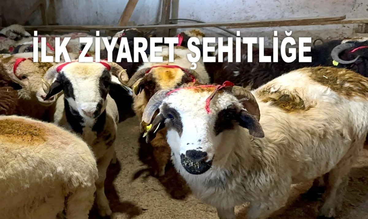 ORDU'DA KURBAN BAYRAMI KUTLAMA PROGRAMI AÇIKLANDI