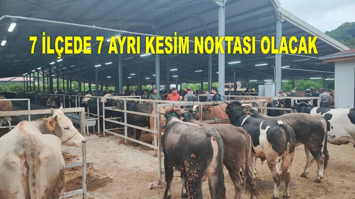 ORDU'DA KURBAN HAZIRLIKLARINI TAMAMLANDI!