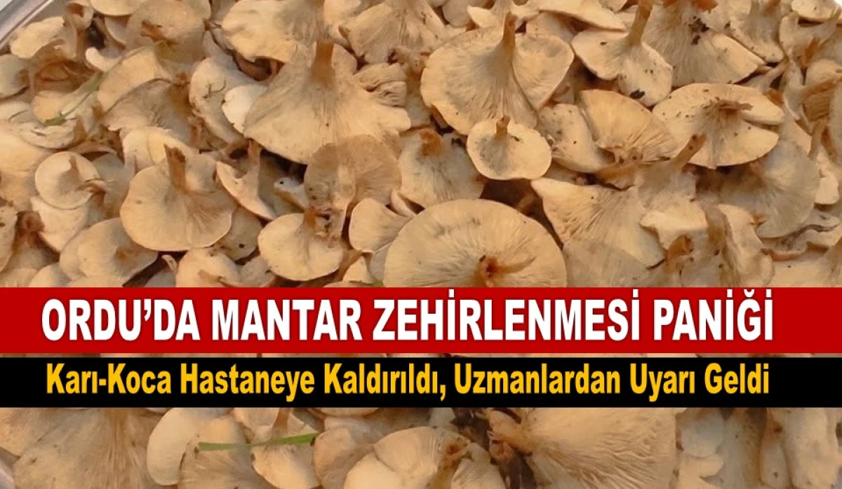 Ordu'da Mantardan Zehirlenen Eşlerden Birinin Durumu Ağır