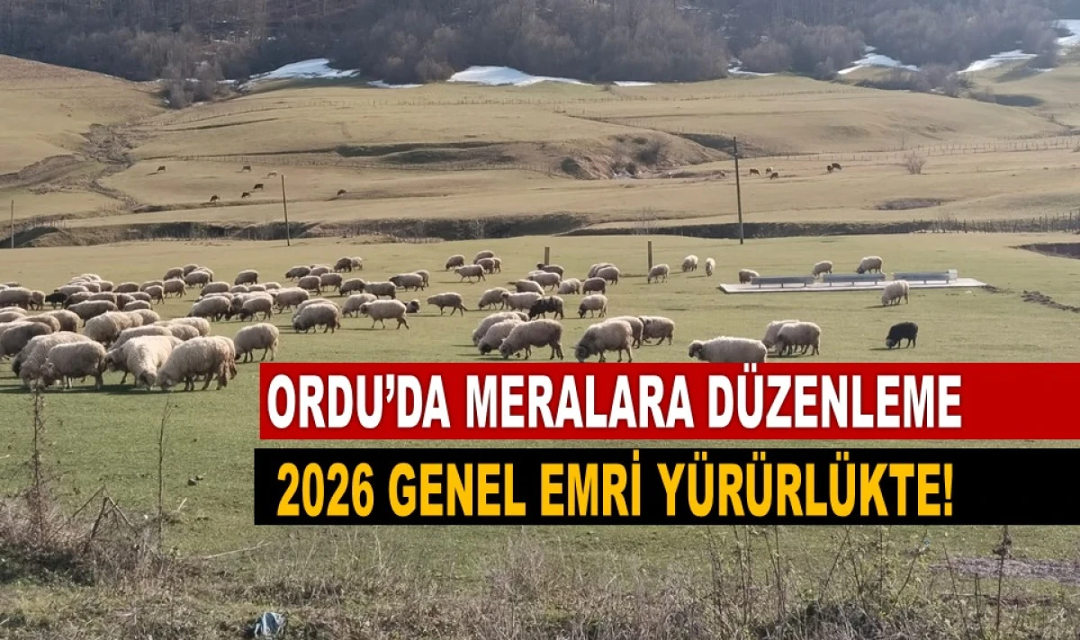 Ordu&rsquo;da Meralar Koruma Altında: Uymayanlara Ceza Var
