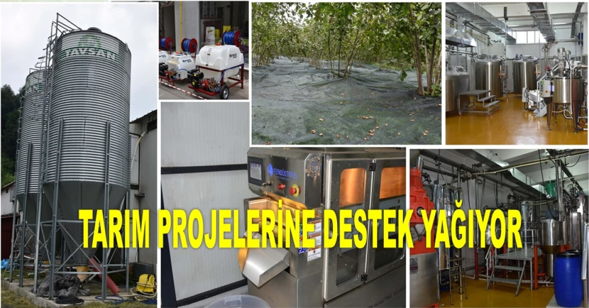 ORDU'DA O PROJELERE 95 MİLYON TL HİBE DESTEĞİ