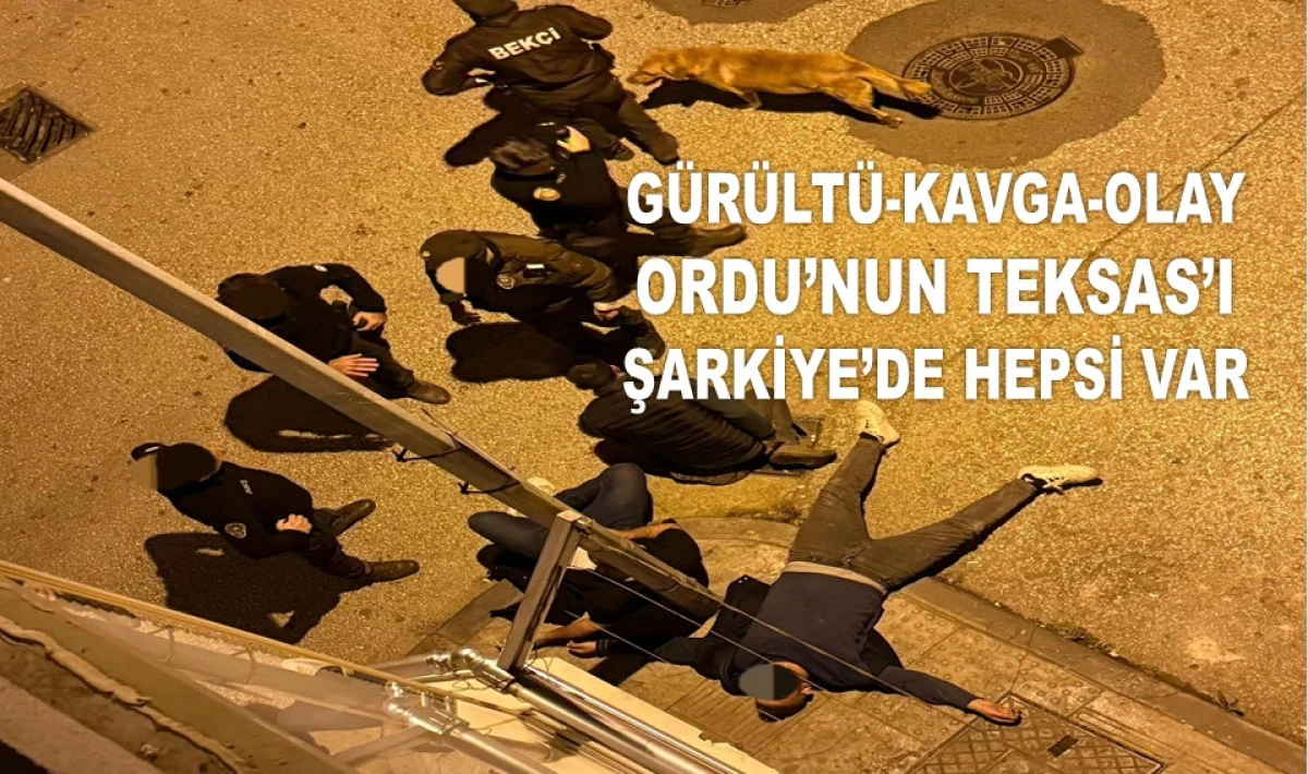 ORDU'DA SARHOŞLAR ŞARKİYE'Yİ YAŞANMAZ HALE GETİRDİ