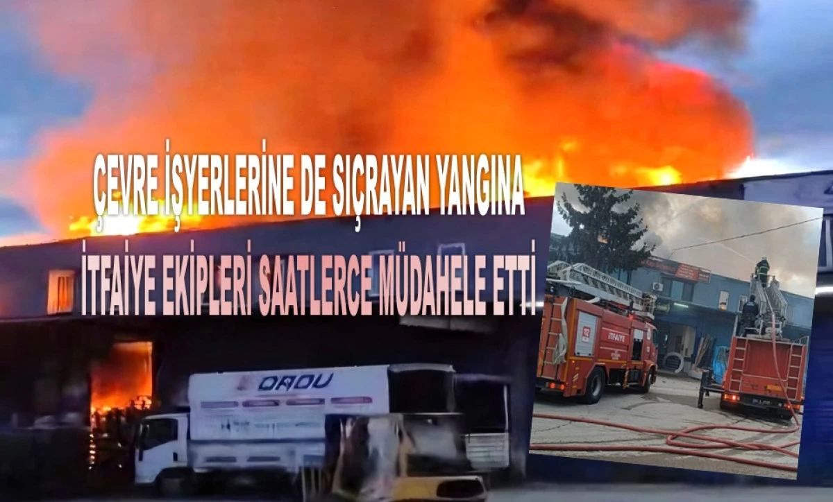 Ordu'da Korkutan Yangın Kontrol Altında