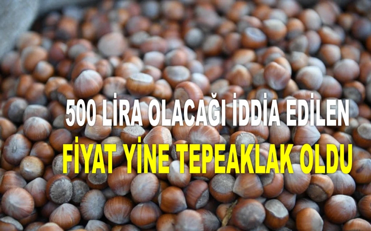 ORDU'DA SERBEST PİYASADA FINDIK FİYATI YİNE DÜŞTÜ