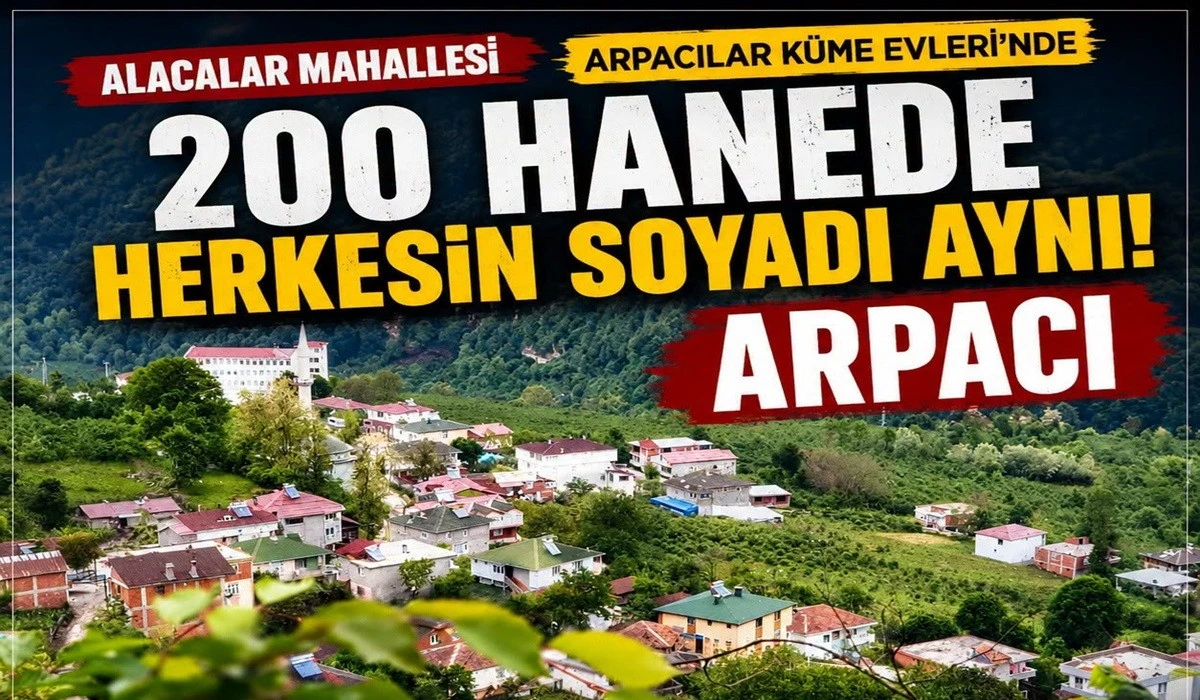 Ordu&rsquo;da Sıra Dışı Mahalle: 200 Hanenin Soyadı Arpacı!