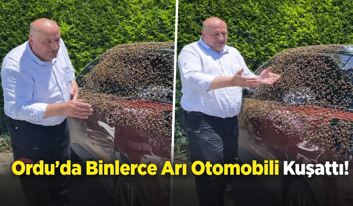 Ordu'da Sıra Dışı Olay: Arılar Otomobili Kuşattı!