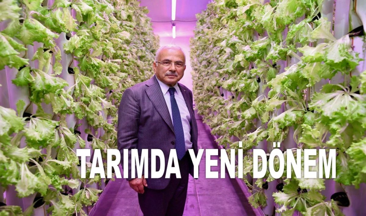 ORDU'DA TOPRAKSIZ VE SIFIR İLAÇLA ÜRETİM DÖNEMİ