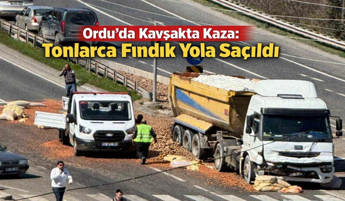 Ordu’da Trafik Kazası: 2 Ton Fındık Yola Savruldu