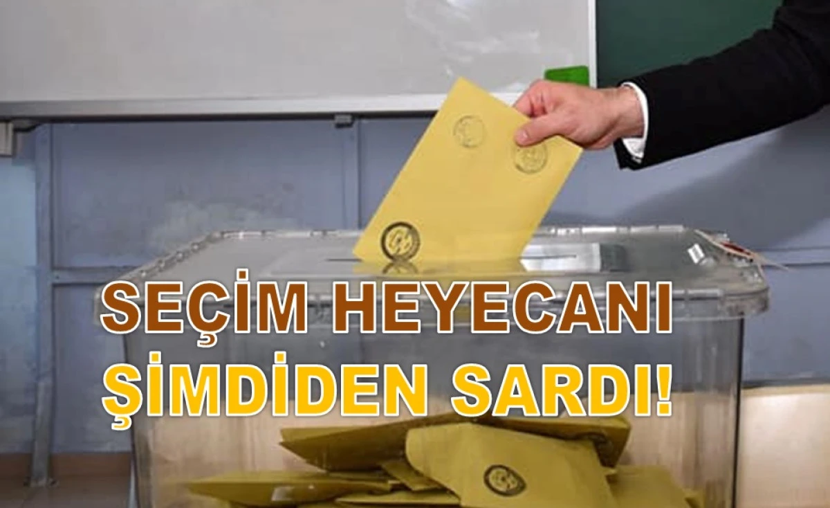 Ordu'da &Uuml;&ccedil; İl&ccedil;ede 7 Haziran'da Sandık kuruluyor