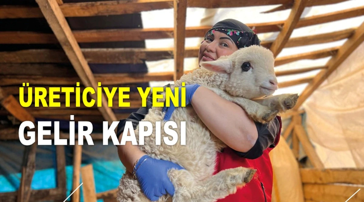 ORDU'DA ÜÇ YENİ PROJE İÇİN BAŞVURULARI KAÇIRMAYIN