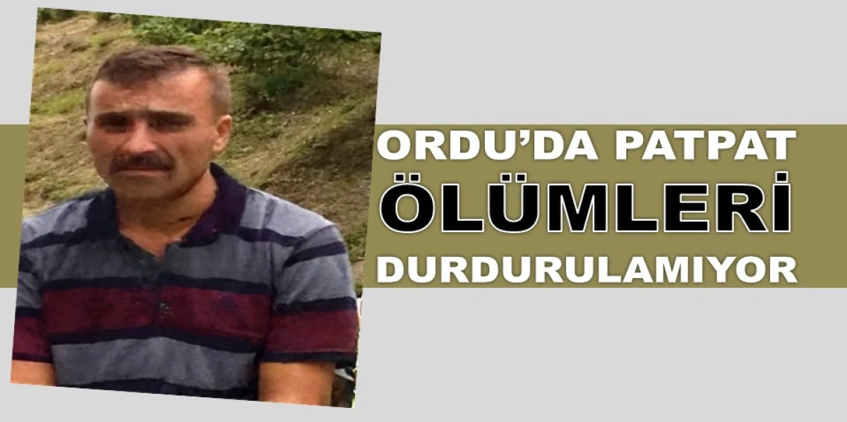 Ordu'da U&ccedil;uruma Yuvarlanan Patpatta Hayatını Kaybetti