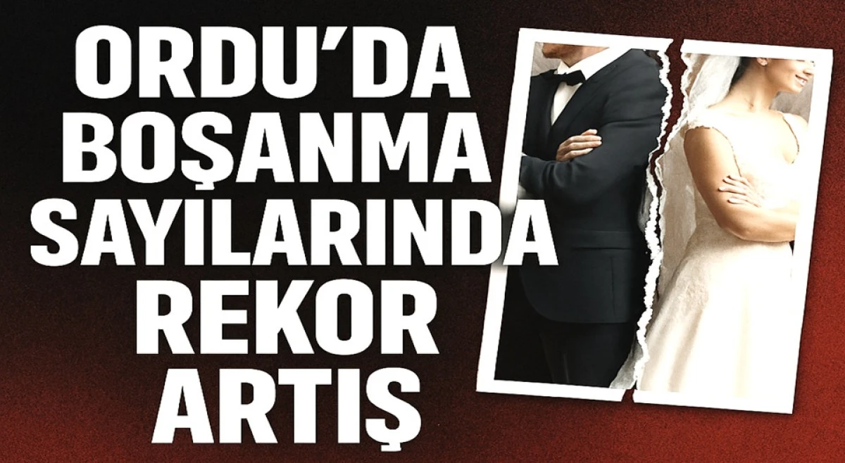 Ordu'da &Uuml;rk&uuml;ten Tablo: Bir Yılda 26 Bin 326 Yuva Dağıldı