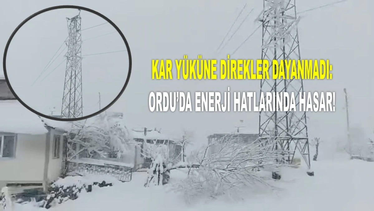 Ordu&rsquo;da Yoğun Kar Elektrik Direklerini Kırdı
