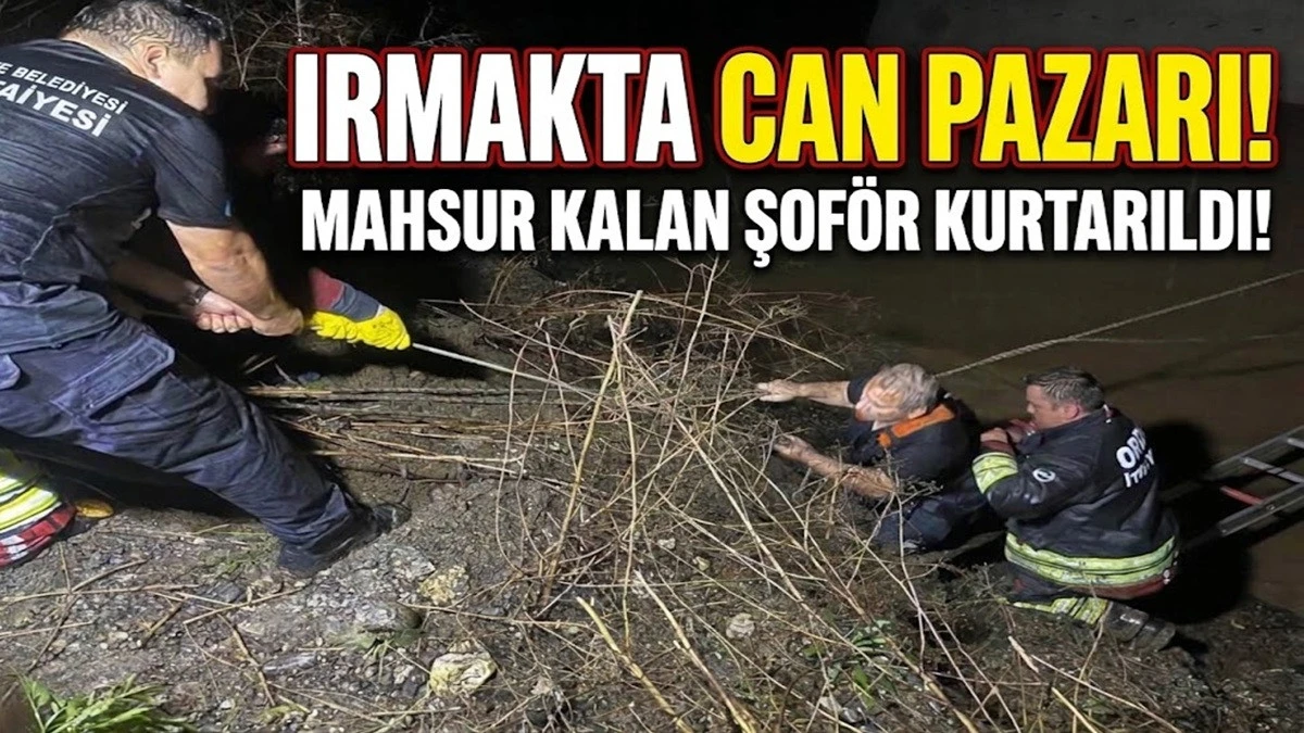 Ordu'da Zamana Karşı Yarışıldı: Mahsur Kalan Şof&ouml;r Kurtarıldı