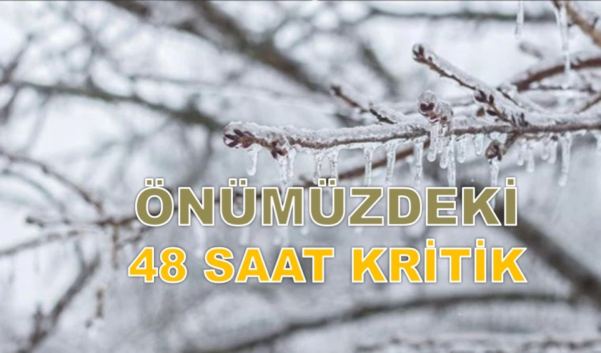Ordu&rsquo;da Zirai Don Alarmı: Fındık Tehlikede