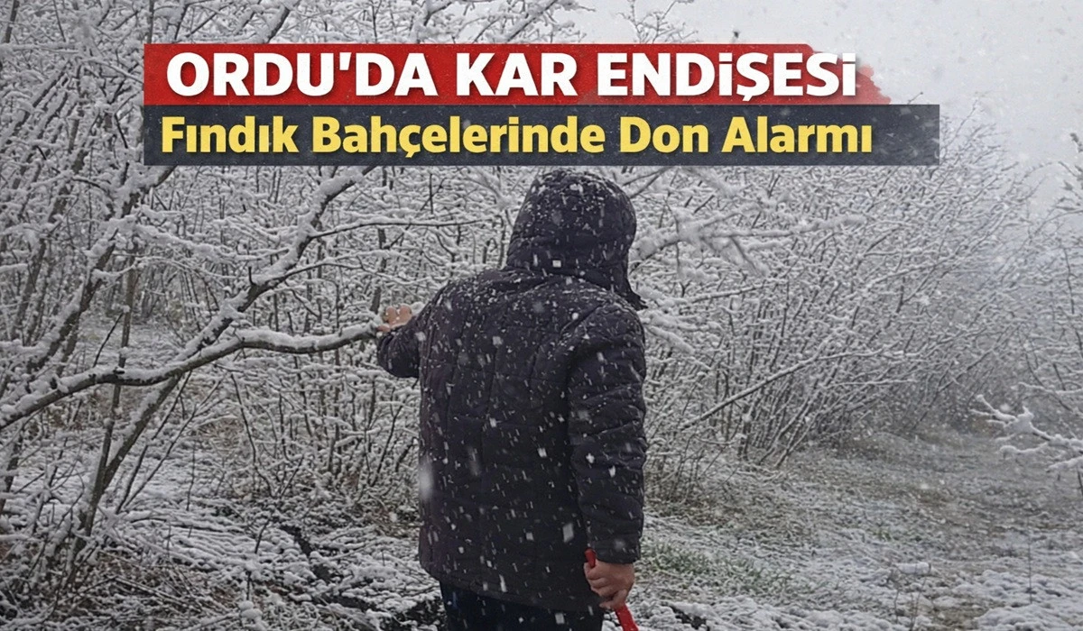 Ordu&rsquo;da Zirai Don Alarmı: Fındık &Uuml;reticisi Endişeli!
