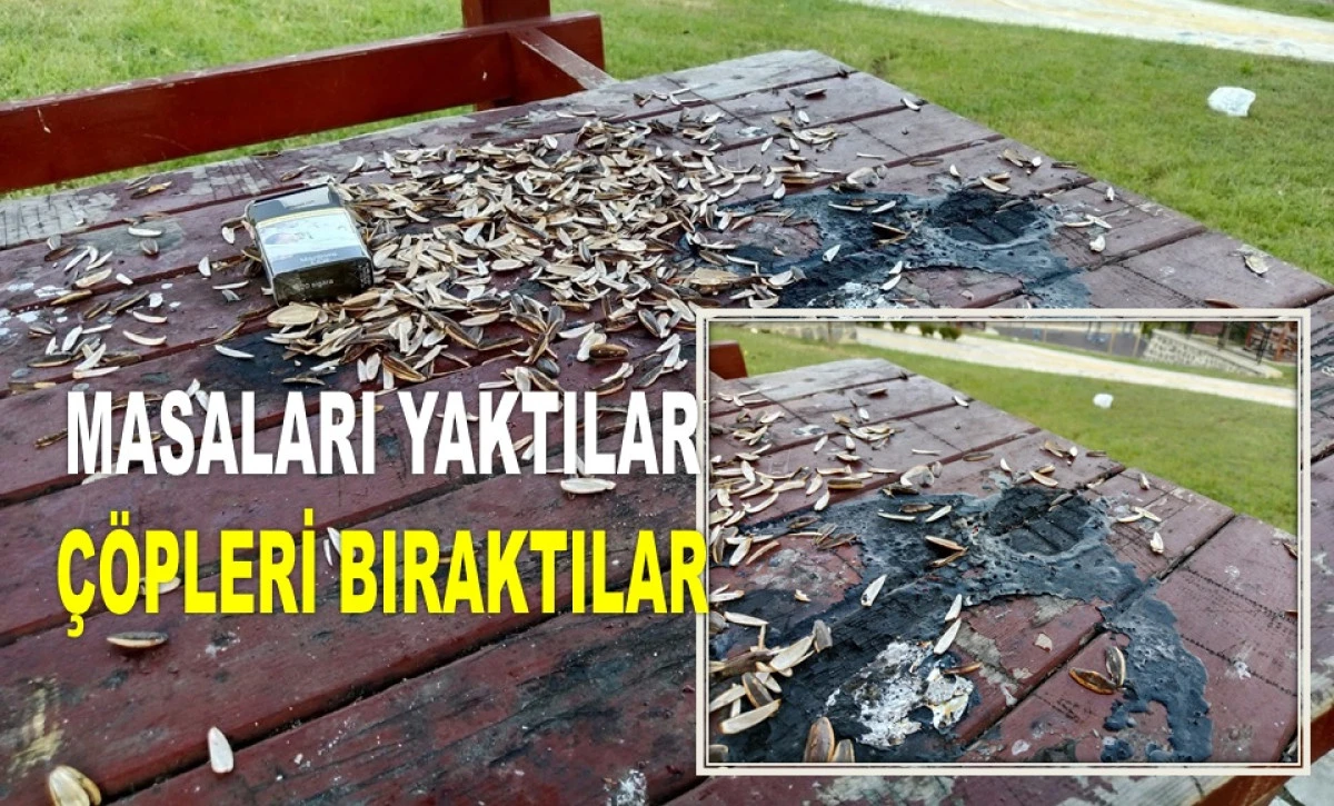 ORDU'DAKİ BU VANDALLIK VE İHANET İSYAN ETTİRDİ! 