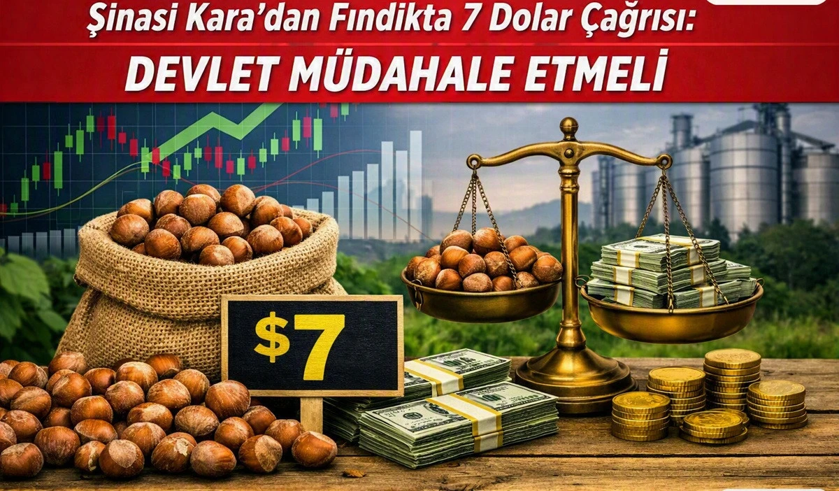 Ordulu Ekonomistten Fındık Fiyatı İ&ccedil;in 7 Dolar &Ccedil;ağrısı