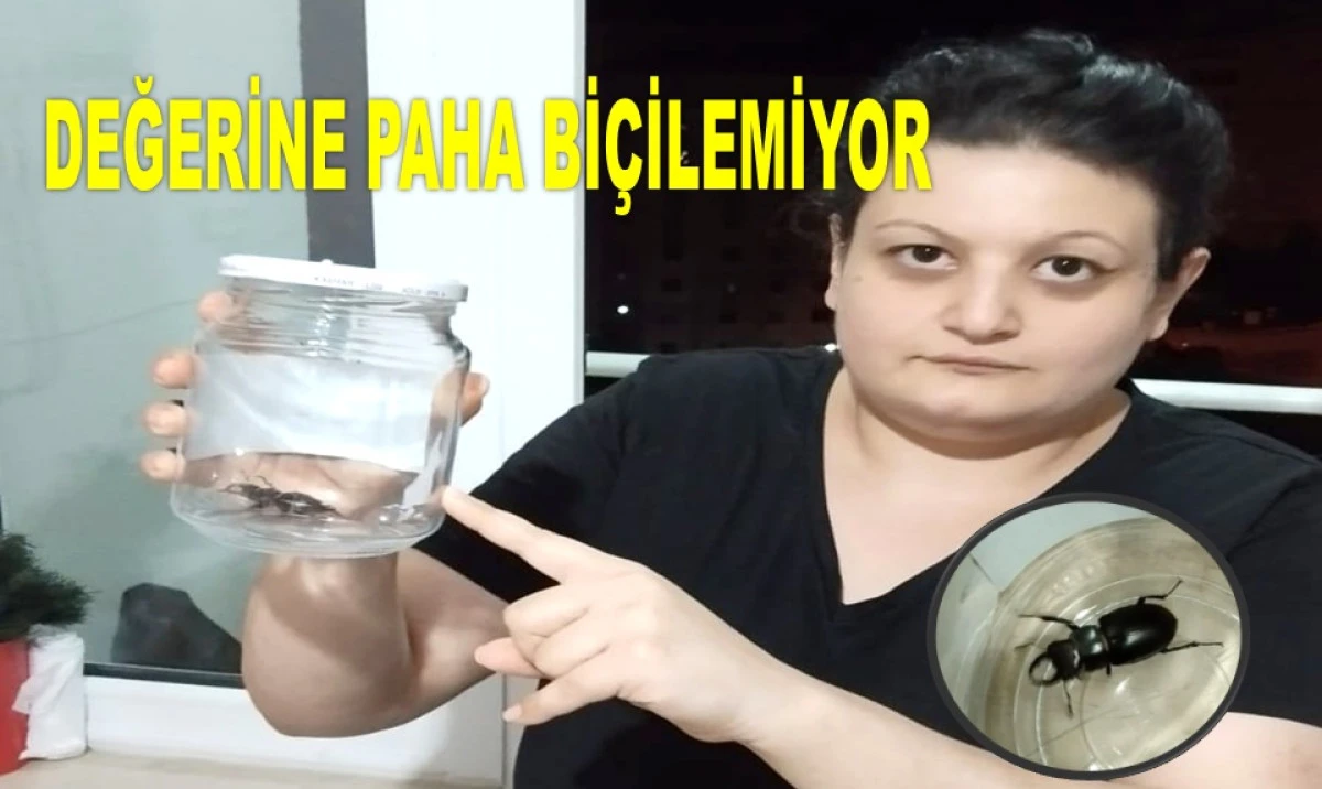 ORDULU KADIN EVİNİN BALKONUNDA HAZİNE BULDU