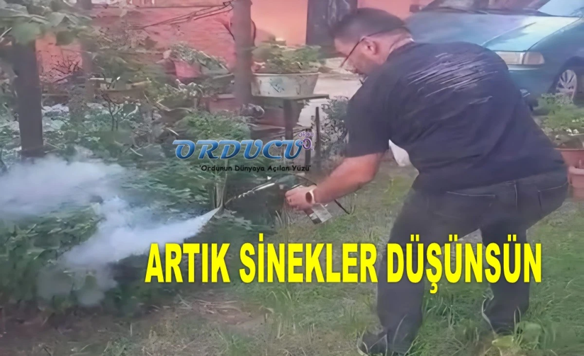 ORDULU MUCİT SİNEK VE BÖCEKLERE SAVAŞ AÇTI