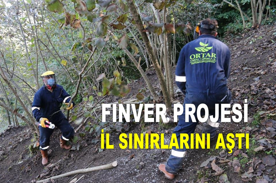 ORDU'NUN FINDIK PROJESİNE BAŞKA İLLERDEN DE TALEP VAR