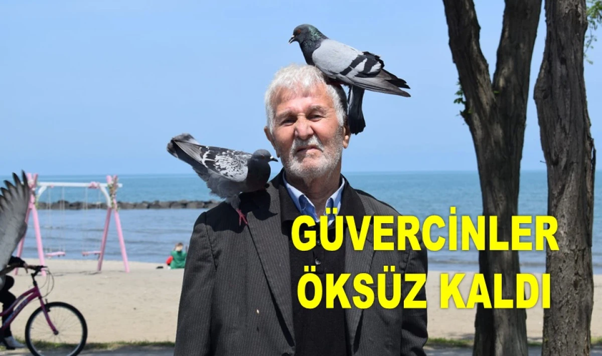 ORDU'NUN GÜVERCİN DEDEDİ REŞAT ÇOLAK HAYATINI KAYBETTİ
