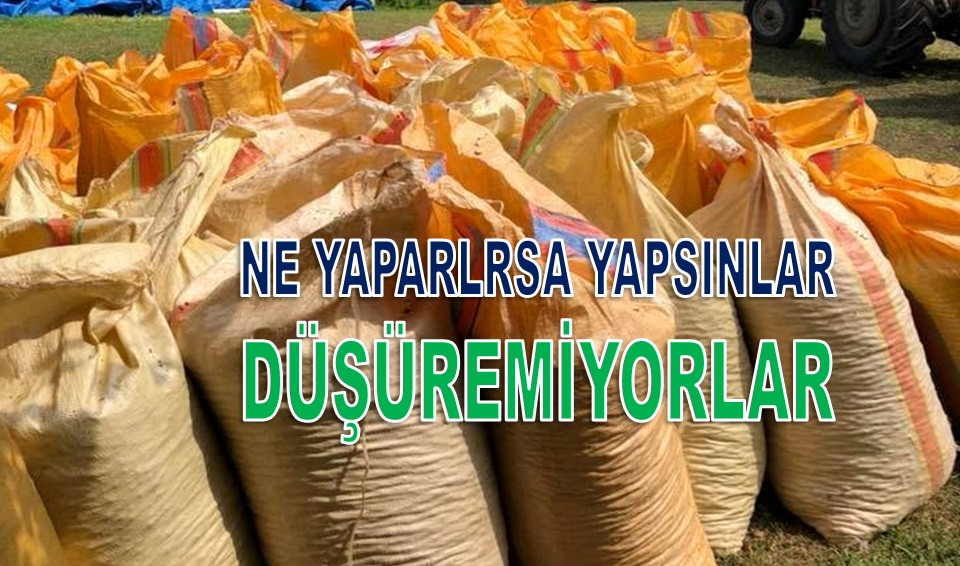 ORDU'NUN O İLÇESİNDE FINDIK 107 LİRA OLDU
