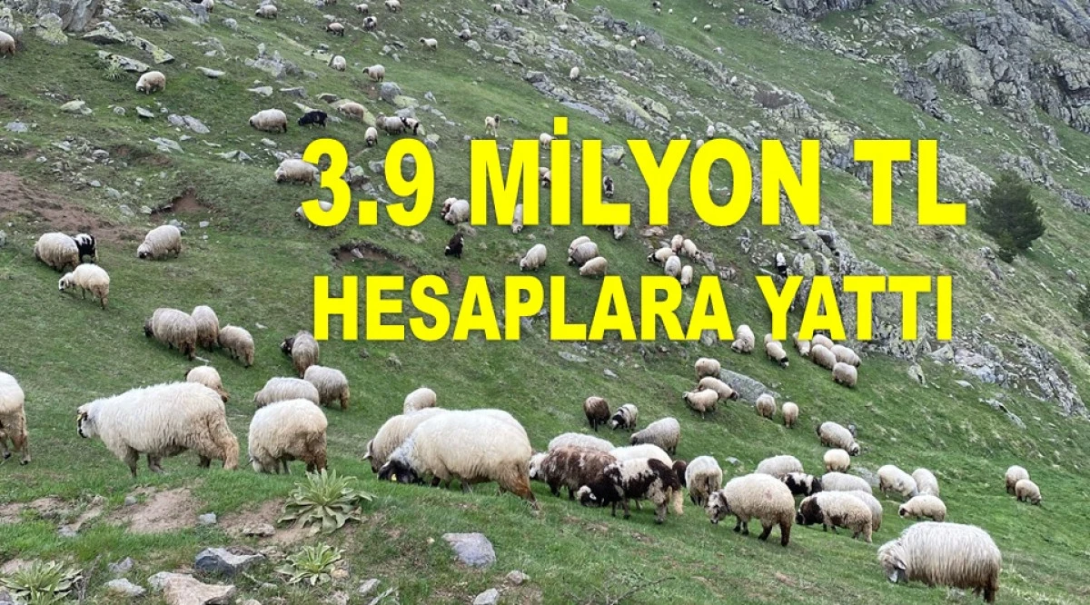 ORDU’YA DA 15 MİLYON TL’LİK DESTEK ÖDEMESİ