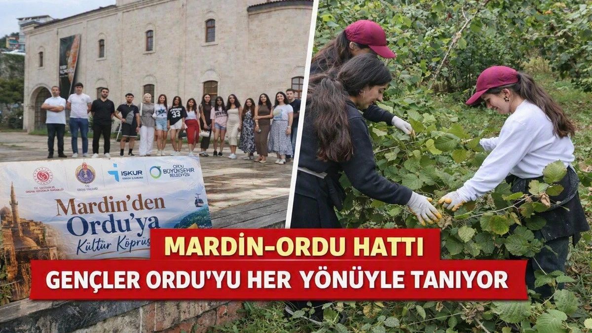Ordu'ya Gelen Gen&ccedil;ler, &Ouml;nce Fındık Topluyor, Sonra Geziyor