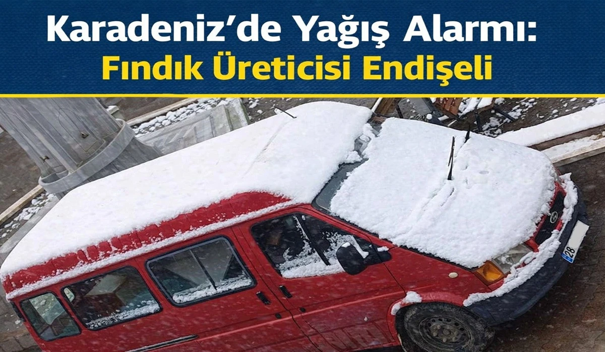 Ordu'ya Kritik Uyarı: Kuvvetli Yağış ve Zirai Don Geliyor!