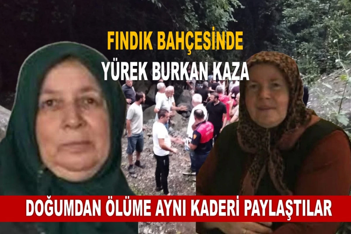Ordu'yu Yasa Boğan İki Kardeş Bug&uuml;n Toprağa Veriliyor