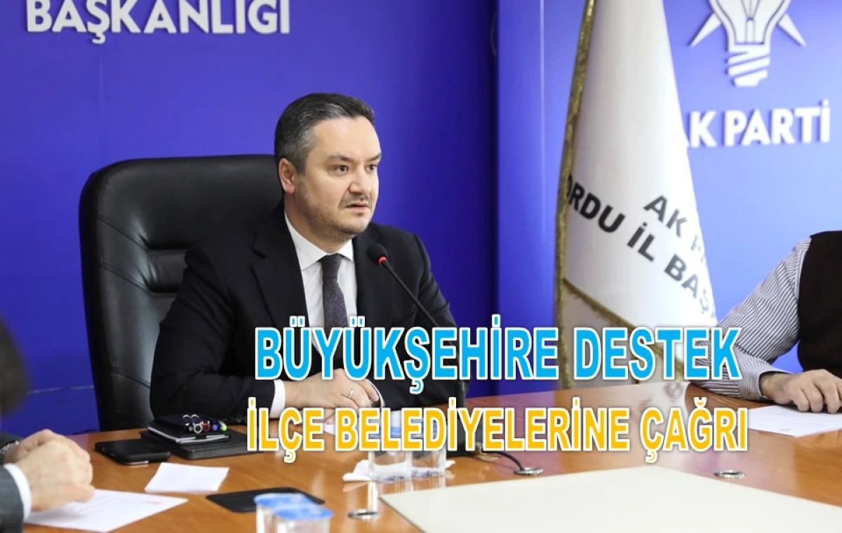 &Ouml;zdemir: Sahipsiz Hayvanlar Siyaset &Uuml;st&uuml; Mesele