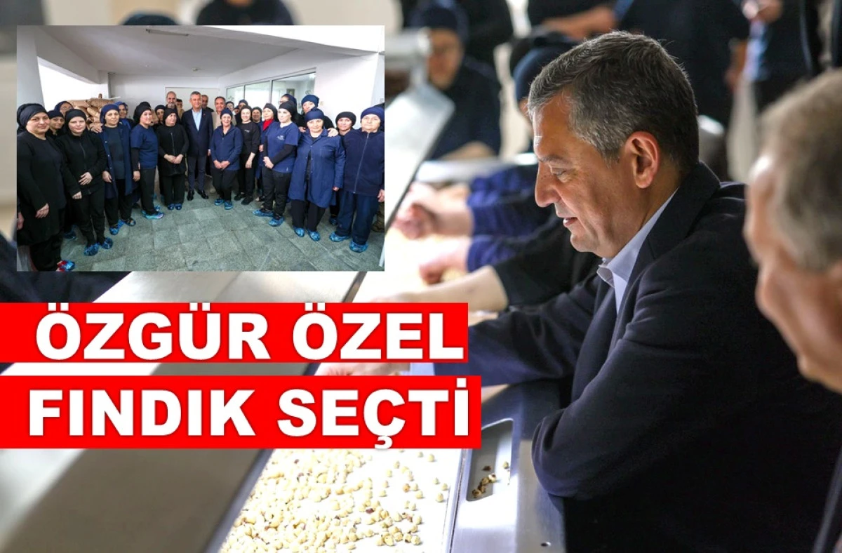 ÖZEL: ARTİSTİK YAPAN O FİRMA KAÇ PARADAN SATIYOR?